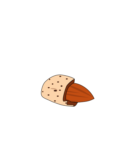 Almond clipart