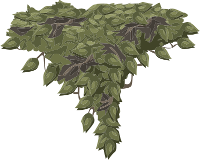 Alpine Landscape Draping Plant 01b Al1 clipart