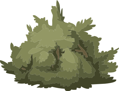 Alpine Landscape Mountain Flora 01a Al1 clipart