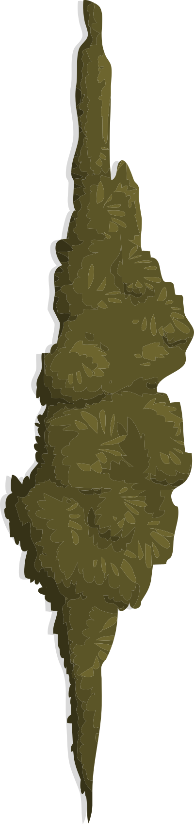 Alpine Landscape Treemoss 01a Al1 clipart