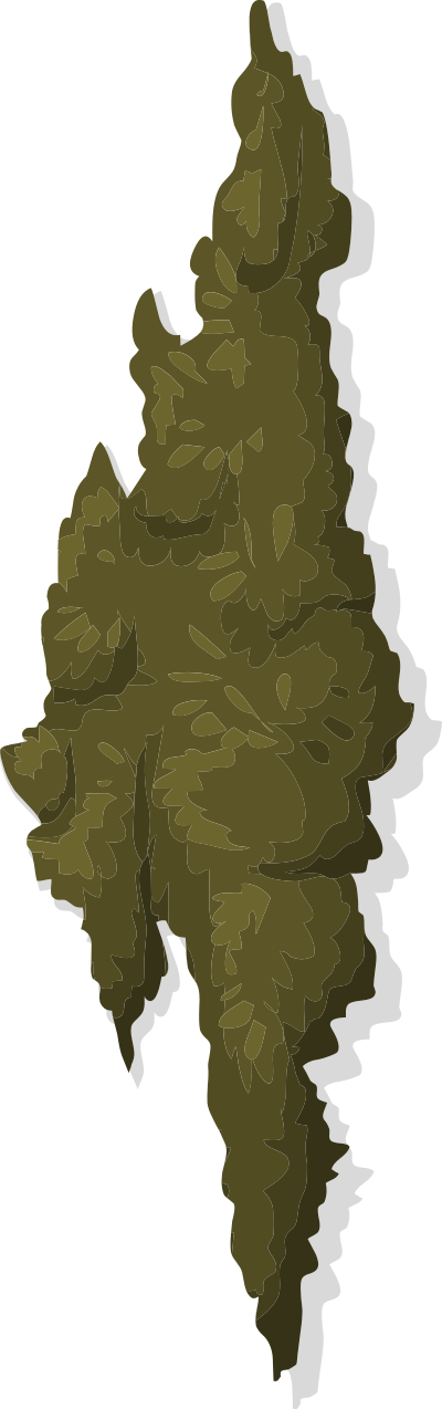 Alpine Landscape Treemoss 01b Al1 clipart