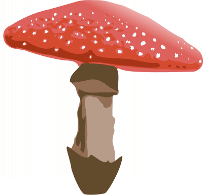 Amanita muscaria clipart