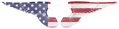 American Hand Drawn Wings With Stroke clipart
