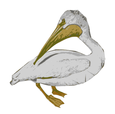 American White Pelican clipart