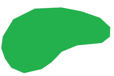Amoeba refixed clipart