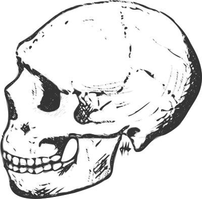 Amud skull (grayscale) clipart
