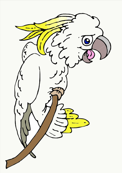 An Australian Cockatoo clipart