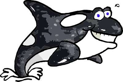 An Orca clipart