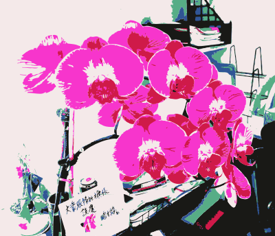 An orchid for jilllio clipart