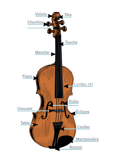 Anatomie d'un violon clipart