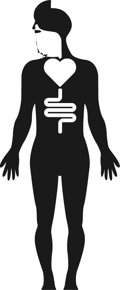 Anatomy 1 clipart
