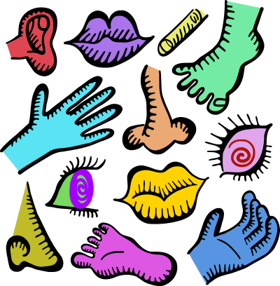 Anatomy Doodles - Neon Remix clipart