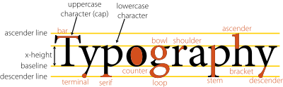 Anatomy of type clipart