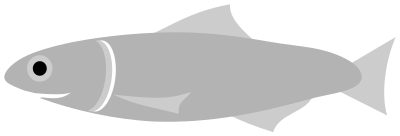 Anchovy Fish clipart