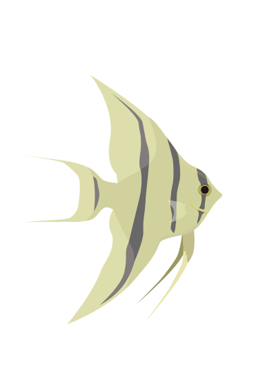 Angelfish clipart