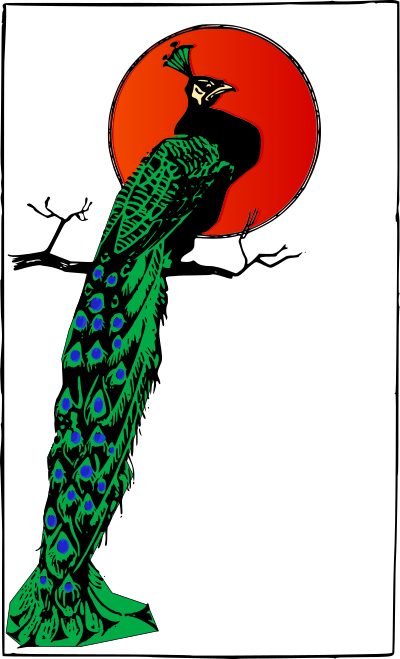 Angry Peacock clipart