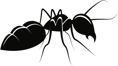 Ant (#1) clipart