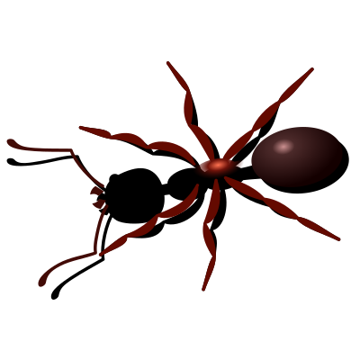 Ant clipart
