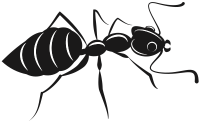 Ant (#2) clipart