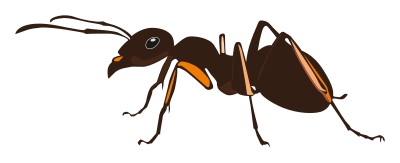 Ant clipart
