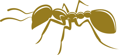 Ant clipart