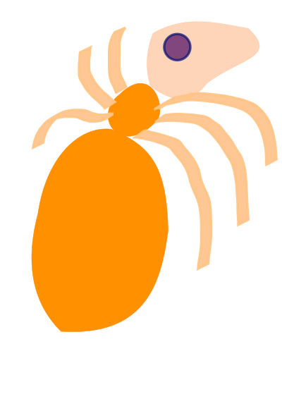 Ant clipart