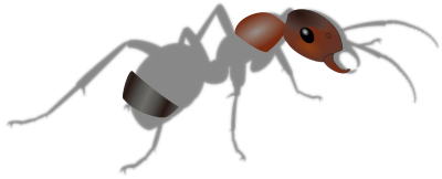 Ant - Ameise clipart