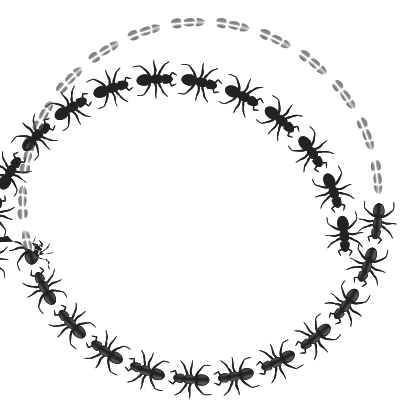 Ant border circle clipart