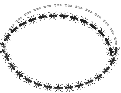 Ant border oval clipart