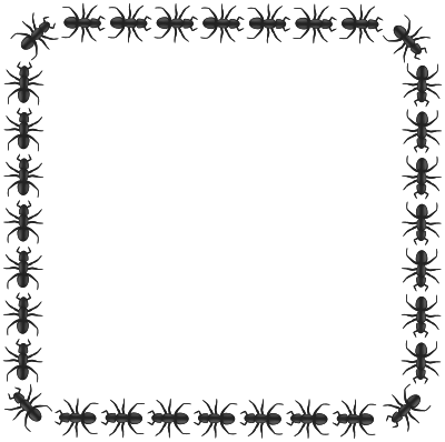 Ant border square clipart