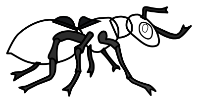 Ant - coloured clipart