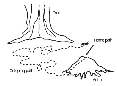 Ant navigation map clipart