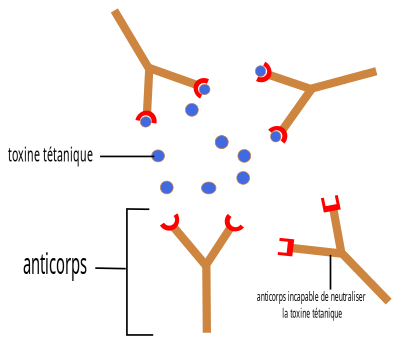 Anticorps-antigene clipart
