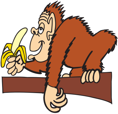 Ape eating banana clipart