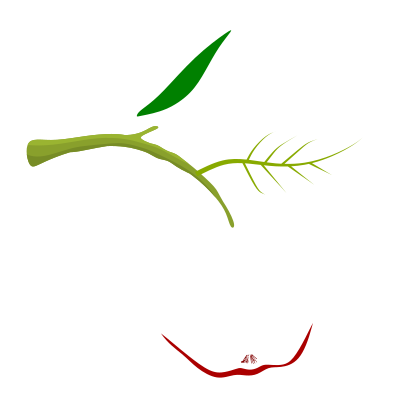 Apple-01042019 clipart