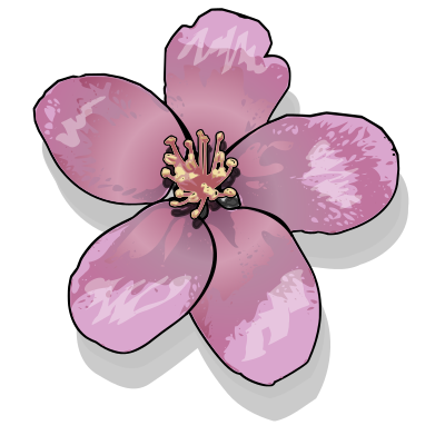 Apple blossom clipart