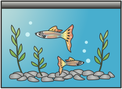 Aquarium clipart