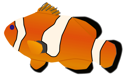 Aquarium fish - Amphiprion percula clipart