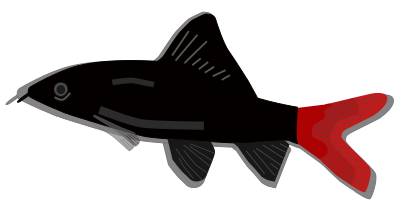 Aquarium fish - Epalzeorhynchos clipart