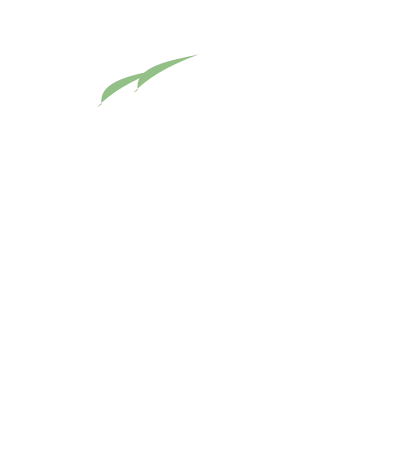 Arbol Tree clipart