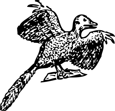 Archaeopteryx clipart