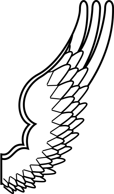 Archaic drawing of a bird wing clipart