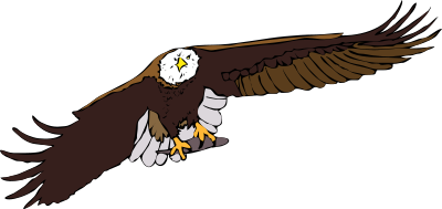 Architetto -- Aquila frontale clipart