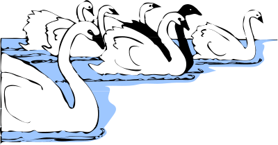 Architetto -- Cigni bianchi e neri clipart