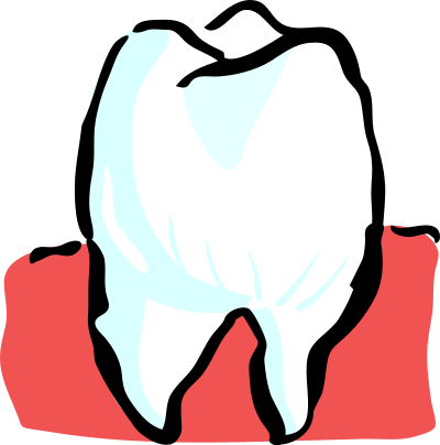 Architetto -- Dente clipart