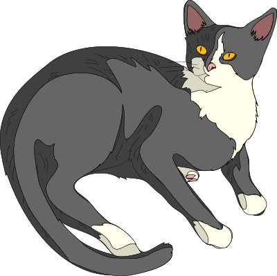 Architetto -- Gatto 03 clipart