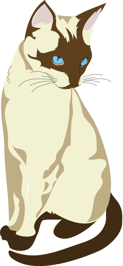 Architetto -- Gatto 04 clipart