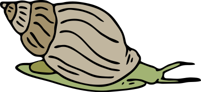 Architetto -- lumaca clipart