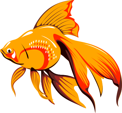 Architetto -- pescetto clipart