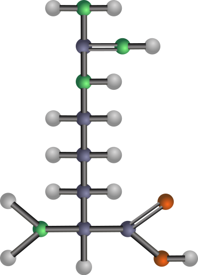 Arginine (amino acid) clipart